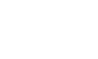 vicer-og vicer-og